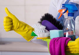 Professional pest control service